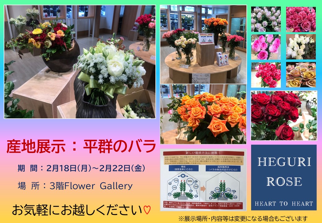 大阪市鶴見区の花の卸売 | Flower Gallery展示情報