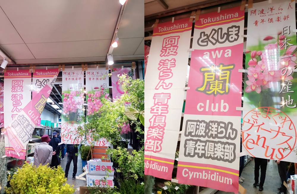大阪市鶴見区の花の卸売 | レポート | 画像2